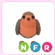 NFR Robin