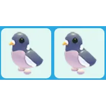 x2 Wood Pigeon