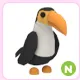 N Toucan