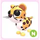 N Cheetah