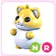 NR Golden Hamster