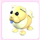 Golden Chow-Chow