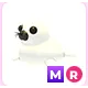 MR Harp Seal
