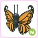 N Orange Butterfly