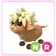 NR Highland Cow