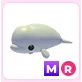 MR Beluga