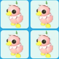 x4 Flower Power Duckling