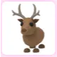 Reindeer