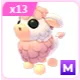 x13 M Angus Cow