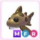 MFR Leopard Shark