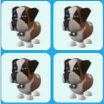 x4 St Bernard