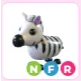 NFR Zebra