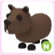 N Capybara