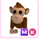 MR Monkey