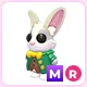 MR Mr. Whiskerpips
