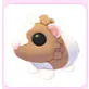 Chocolate Dutch Guinea Pig