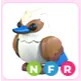 NFR Kookaburra