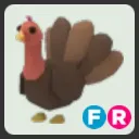 FR Turkey