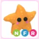 NFR Starfish