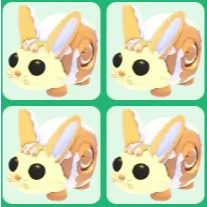 x4 Bunny Swirl