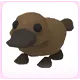 Platypus