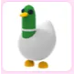 Silly Duck