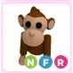 NFR Monkey