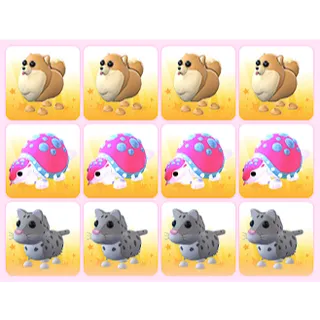 x12 Random Pets