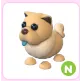 N Tan Chow-Chow
