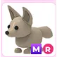 MR Fennec Fox