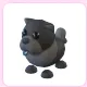Black Chow-Chow