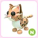 N Leopard Cat