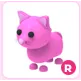 R Pink Cat