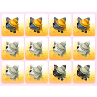 x12 Random Pets