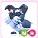 NR Mini Schnauzer