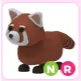 NR Red Panda