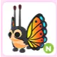 N Mirai Moth