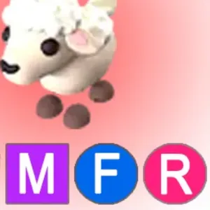 MFR LAMB