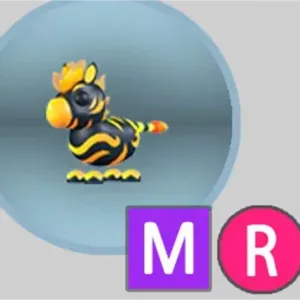 MEGA R FLAMING ZEBRA