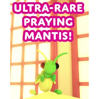 4X PRAYING MANTIS