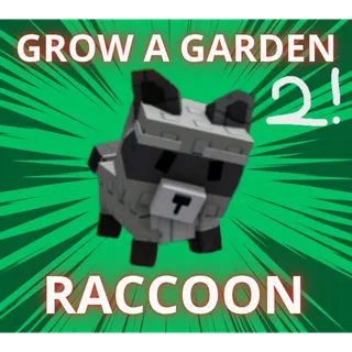 Raccoon