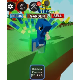 SEMI TITANTIC RB PEACOCK