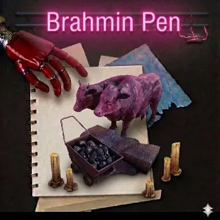 Brahmin Pen Plan