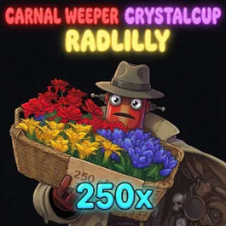 250x Of Each Susans Soothin Flowers