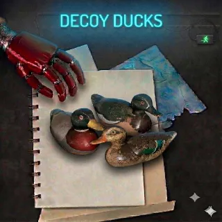 Decoy Ducks Plan Ps4 Ps5