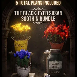 BLACK EYED SUSAN SOOTHIN BUNDLE ps4 ps5