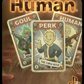 HIGH DAMAGE HUMAN BUILD PERK CARD PS4 PS5