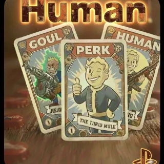 HIGH DAMAGE HUMAN BUILD PERK CARD PS4 PS5