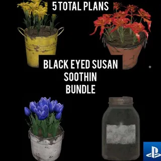 BLACK EYED SUSAN SOOTHIN BUNDLE ps4 ps5