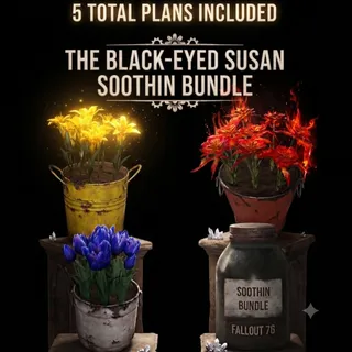 BLACK EYED SUSAN SOOTHIN BUNDLE ps4 ps5